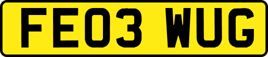 FE03WUG