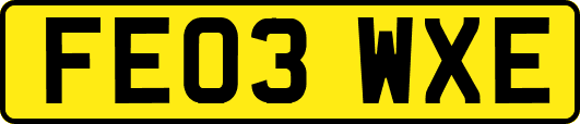 FE03WXE