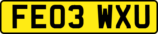 FE03WXU