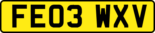 FE03WXV