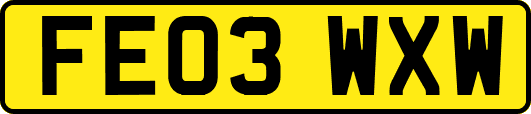FE03WXW