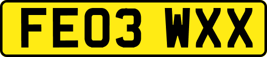FE03WXX