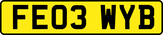 FE03WYB