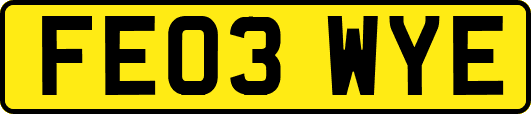 FE03WYE