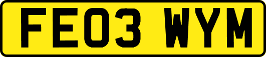 FE03WYM