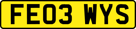 FE03WYS