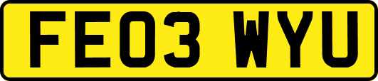 FE03WYU