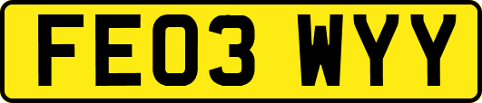 FE03WYY