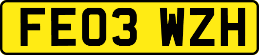FE03WZH