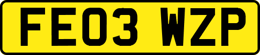 FE03WZP