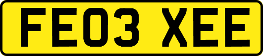FE03XEE