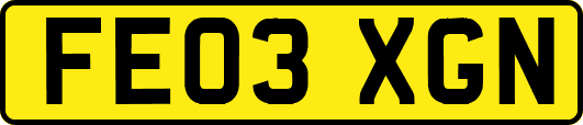 FE03XGN