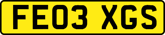 FE03XGS