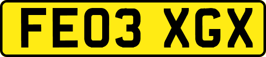 FE03XGX