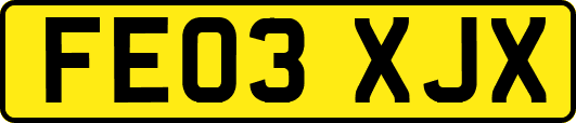 FE03XJX