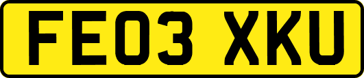 FE03XKU