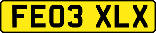 FE03XLX