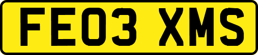FE03XMS