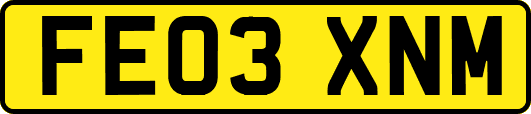 FE03XNM