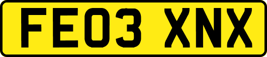 FE03XNX