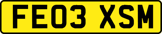 FE03XSM