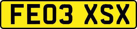 FE03XSX