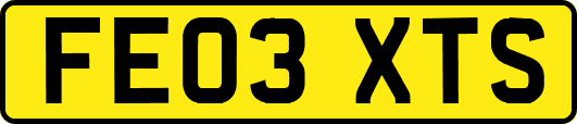 FE03XTS