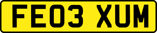 FE03XUM