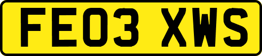 FE03XWS