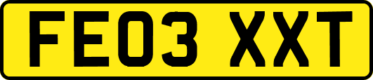 FE03XXT