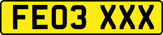 FE03XXX