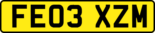 FE03XZM
