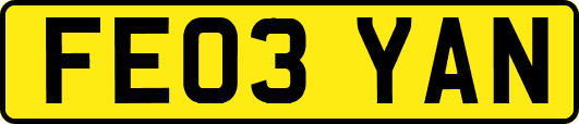 FE03YAN