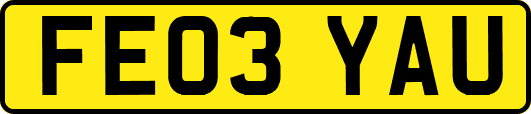 FE03YAU