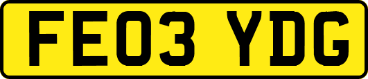 FE03YDG