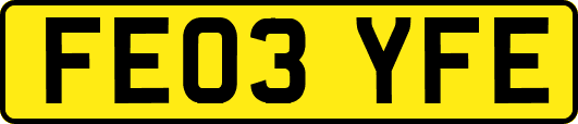 FE03YFE