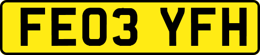 FE03YFH