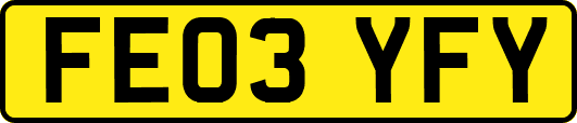 FE03YFY