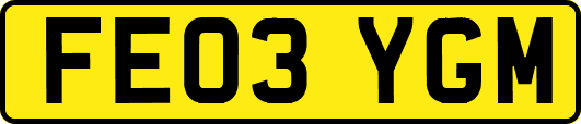 FE03YGM