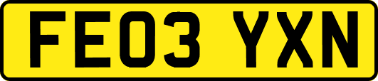 FE03YXN