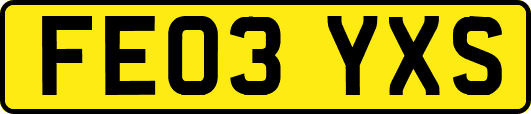 FE03YXS