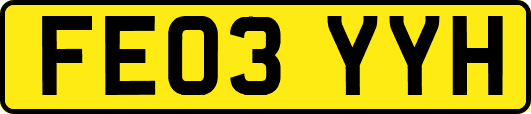 FE03YYH