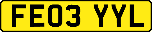 FE03YYL