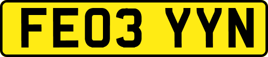 FE03YYN
