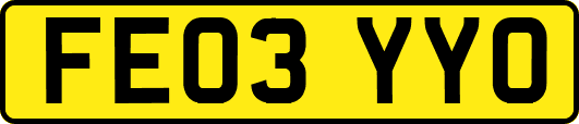 FE03YYO
