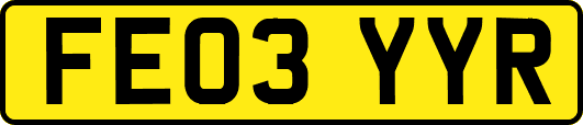 FE03YYR