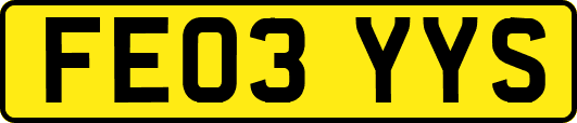 FE03YYS