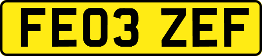 FE03ZEF