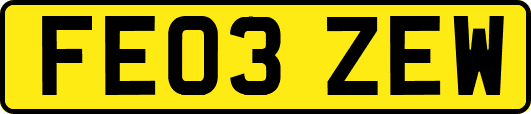 FE03ZEW