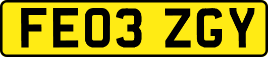 FE03ZGY